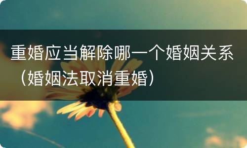 重婚应当解除哪一个婚姻关系（婚姻法取消重婚）