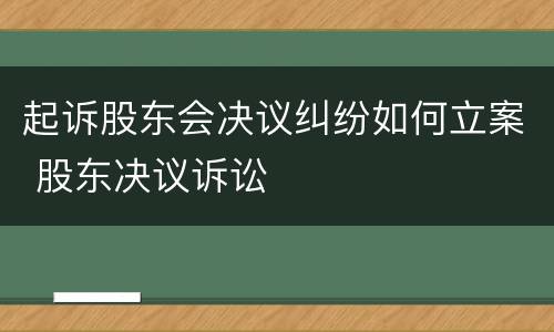 起诉股东会决议纠纷如何立案 股东决议诉讼