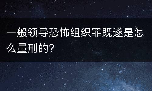一般领导恐怖组织罪既遂是怎么量刑的?