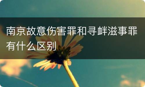 南京故意伤害罪和寻衅滋事罪有什么区别