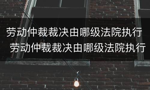 劳动仲裁裁决由哪级法院执行 劳动仲裁裁决由哪级法院执行的