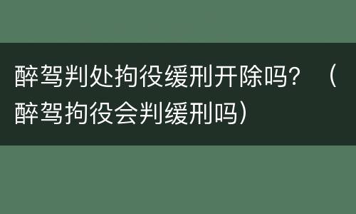 醉驾判处拘役缓刑开除吗？（醉驾拘役会判缓刑吗）