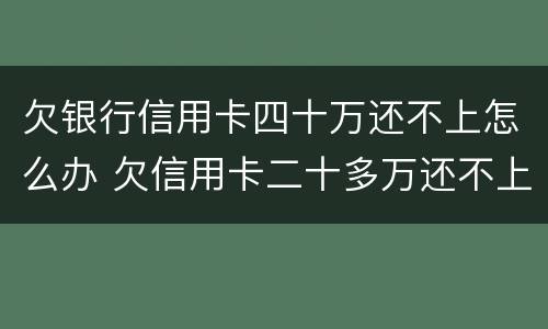 欠银行信用卡四十万还不上怎么办 欠信用卡二十多万还不上怎么办