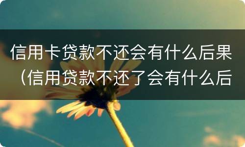 信用卡贷款不还会有什么后果（信用贷款不还了会有什么后果）