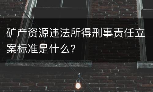 矿产资源违法所得刑事责任立案标准是什么？