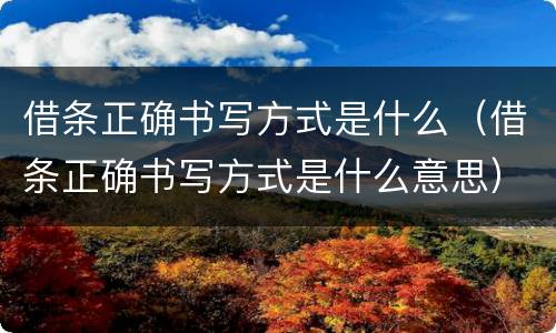 借条正确书写方式是什么（借条正确书写方式是什么意思）
