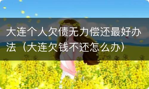 大连个人欠债无力偿还最好办法（大连欠钱不还怎么办）