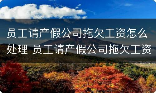 员工请产假公司拖欠工资怎么处理 员工请产假公司拖欠工资怎么处理合法