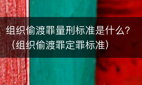组织偷渡罪量刑标准是什么？（组织偷渡罪定罪标准）