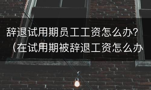 辞退试用期员工工资怎么办？（在试用期被辞退工资怎么办）