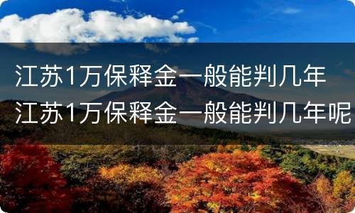 江苏1万保释金一般能判几年 江苏1万保释金一般能判几年呢