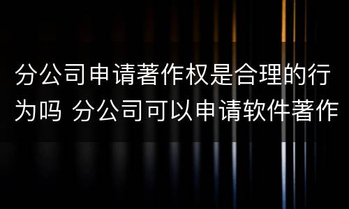 分公司申请著作权是合理的行为吗 分公司可以申请软件著作权吗