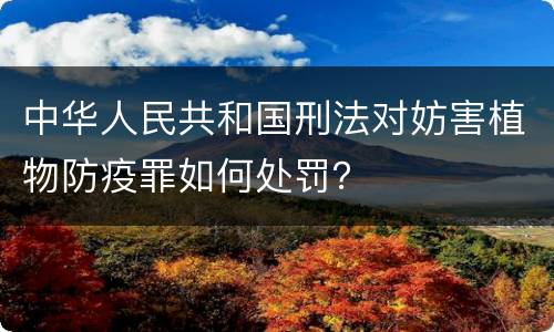 中华人民共和国刑法对妨害植物防疫罪如何处罚？