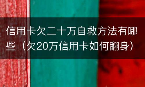 信用卡欠二十万自救方法有哪些（欠20万信用卡如何翻身）