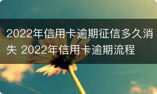 2022年信用卡逾期征信多久消失 2022年信用卡逾期流程