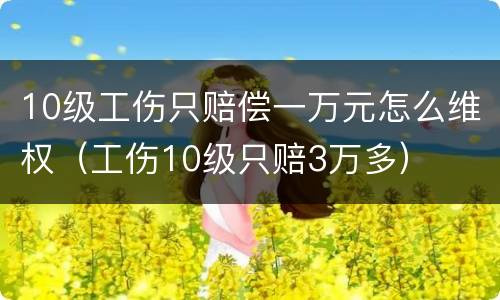 10级工伤只赔偿一万元怎么维权（工伤10级只赔3万多）