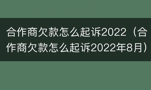 合作商欠款怎么起诉2022（合作商欠款怎么起诉2022年8月）