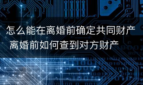 怎么能在离婚前确定共同财产 离婚前如何查到对方财产