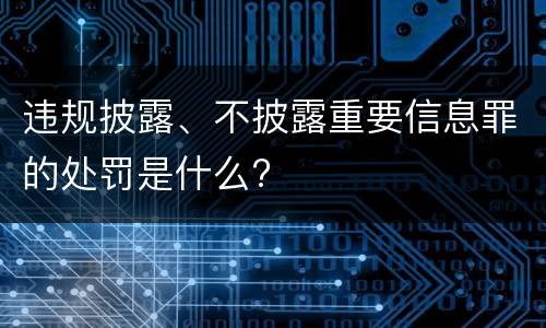 违规披露、不披露重要信息罪的处罚是什么?