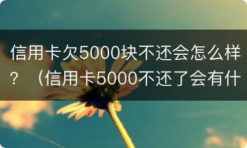 信用卡欠5000块不还会怎么样？（信用卡5000不还了会有什么后果）