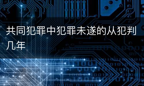 共同犯罪中犯罪未遂的从犯判几年