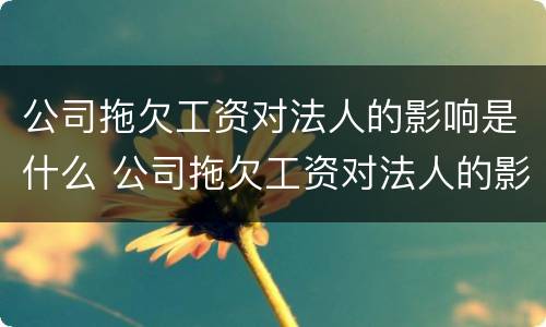 公司拖欠工资对法人的影响是什么 公司拖欠工资对法人的影响是什么原因