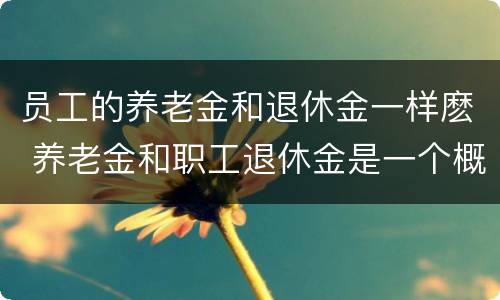 员工的养老金和退休金一样麽 养老金和职工退休金是一个概念吗?