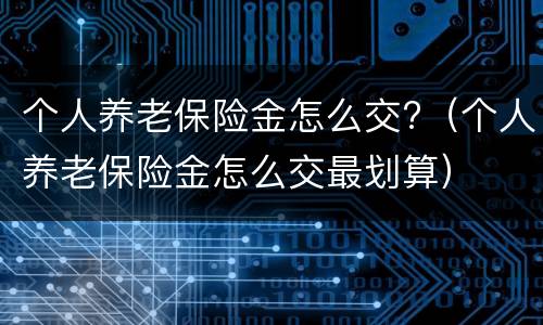 个人养老保险金怎么交?（个人养老保险金怎么交最划算）