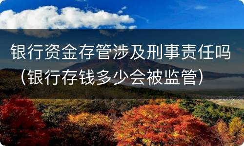 银行资金存管涉及刑事责任吗（银行存钱多少会被监管）
