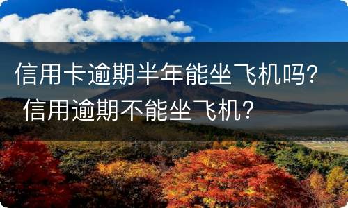 信用卡逾期半年能坐飞机吗？ 信用逾期不能坐飞机?
