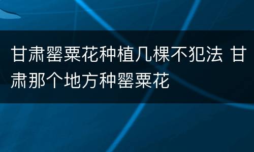 甘肃罂粟花种植几棵不犯法 甘肃那个地方种罂粟花