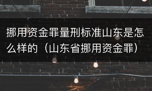 挪用资金罪量刑标准山东是怎么样的（山东省挪用资金罪）