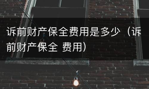 诉前财产保全费用是多少（诉前财产保全 费用）