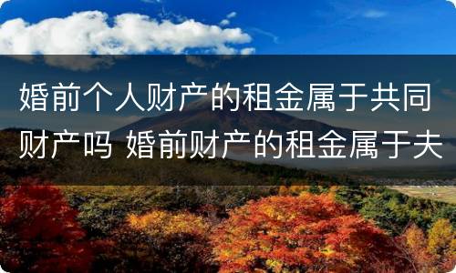 婚前个人财产的租金属于共同财产吗 婚前财产的租金属于夫妻共同的吗