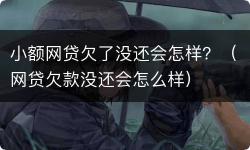 小额网贷欠了没还会怎样？（网贷欠款没还会怎么样）