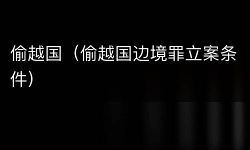 偷越国（偷越国边境罪立案条件）