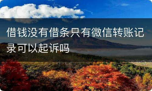 借钱没有借条只有微信转账记录可以起诉吗