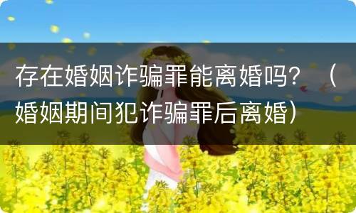 存在婚姻诈骗罪能离婚吗？（婚姻期间犯诈骗罪后离婚）