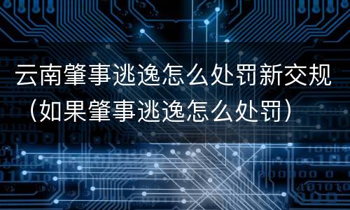 云南肇事逃逸怎么处罚新交规（如果肇事逃逸怎么处罚）