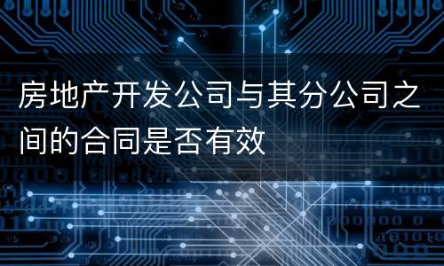 房地产开发公司与其分公司之间的合同是否有效