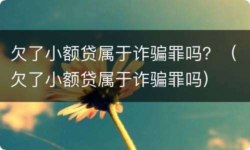 欠了小额贷属于诈骗罪吗？（欠了小额贷属于诈骗罪吗）