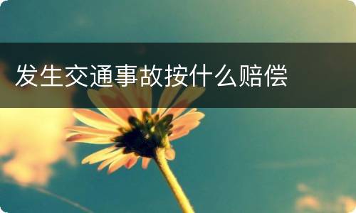 发生交通事故按什么赔偿