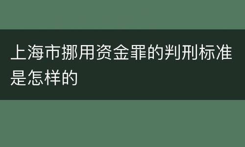 上海市挪用资金罪的判刑标准是怎样的