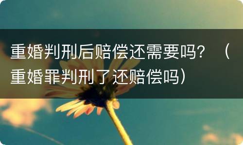 重婚判刑后赔偿还需要吗？（重婚罪判刑了还赔偿吗）