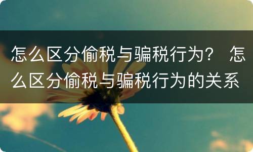 怎么区分偷税与骗税行为？ 怎么区分偷税与骗税行为的关系