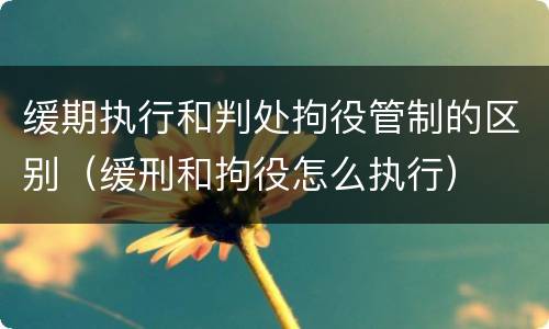 缓期执行和判处拘役管制的区别（缓刑和拘役怎么执行）