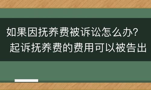 如果因抚养费被诉讼怎么办？ 起诉抚养费的费用可以被告出吗