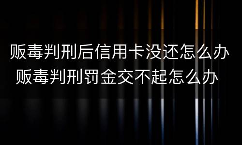 贩毒判刑后信用卡没还怎么办 贩毒判刑罚金交不起怎么办