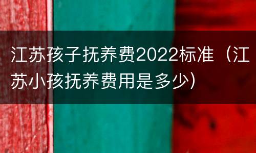 江苏孩子抚养费2022标准（江苏小孩抚养费用是多少）