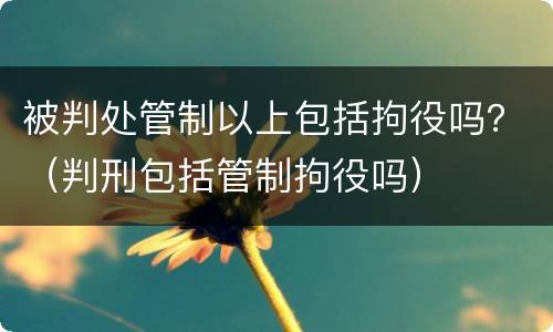 被判处管制以上包括拘役吗？（判刑包括管制拘役吗）